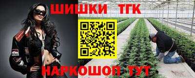 mdpv Гусиноозёрск